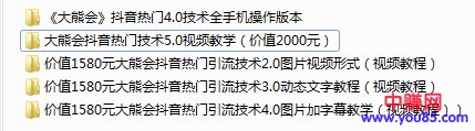 （908期）某高端赚钱项目：大熊会抖音热门技术2.0到5.0（全套视频课程）