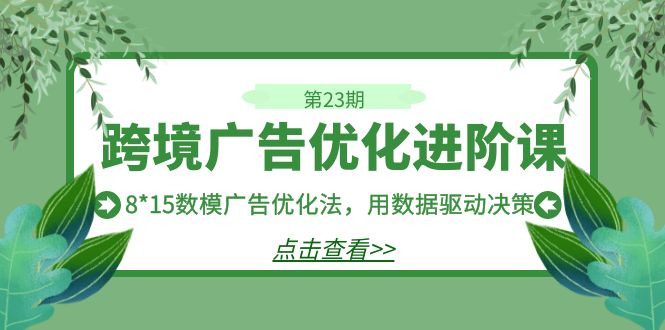 （7131期）跨境广告·优化进阶课·第23期，8*15数模广告优化法，用数据驱动决策-韬哥副业项目资源网