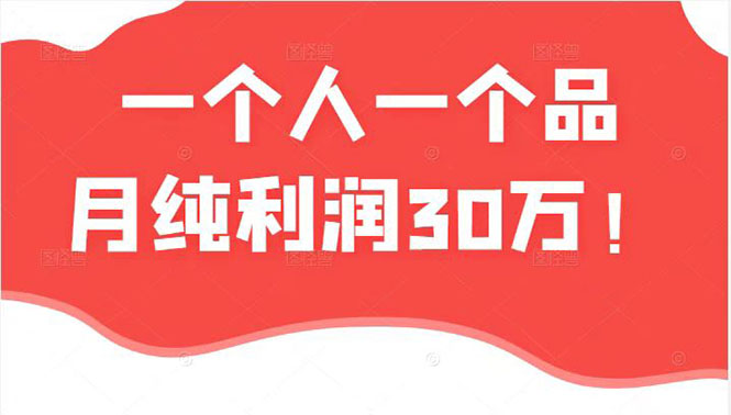 （2343期）某公众号付费文章：一个人一个品月纯利润30万的蓝海电商经典案例！-韬哥副业项目资源网