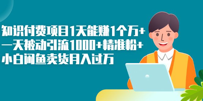 （2251期）知识付费项目1天能赚1个万+一天被动引流1000+精准粉+小白闲鱼卖货月入过万-韬哥副业项目资源网