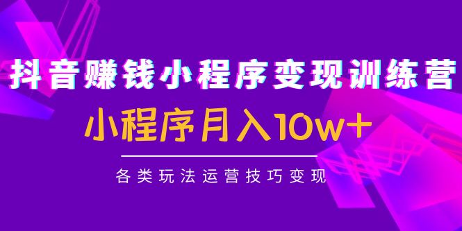 （4511期）抖音赚钱小程序变现训练营：小程序月入10w+各类玩法运营技巧变现-韬哥副业项目资源网