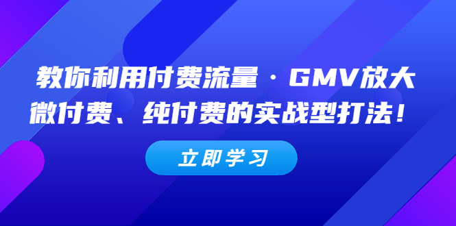 （5106期）教你利用付费流量·GMV放大，微付费、纯付费的实战型打法！-韬哥副业项目资源网