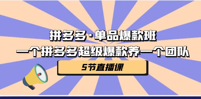 （7019期）拼多多·单品爆款班，一个拼多多超级爆款养一个团队（5节直播课）-韬哥副业项目资源网