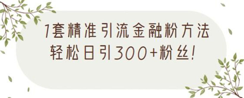 （2156期）1套精准引流金融粉方法，轻松日引300+粉丝【视频课程】-韬哥副业项目资源网