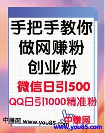 （969期）手把手教你做网赚粉，创业粉，私域流量（第一期）简单粗暴的玩法-韬哥副业项目资源网