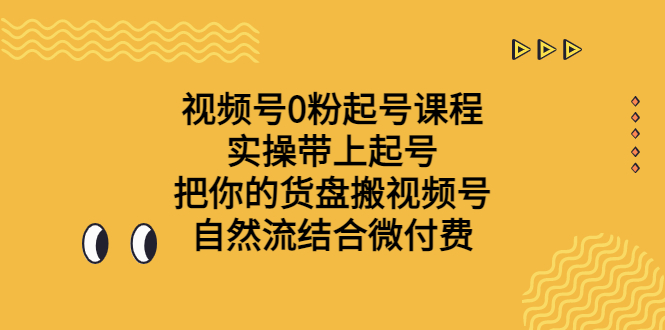 （6749期）视频号0粉起号课程 实操带上起号 把你的货盘搬视频号 自然流结合微付费-韬哥副业项目资源网