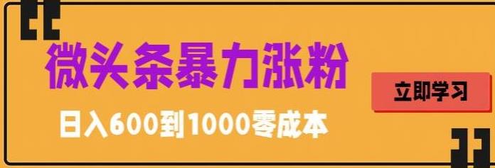 （5950期）微头条暴力涨粉技巧搬运文案就能涨几万粉丝，简单0成本，日赚600-韬哥副业项目资源网