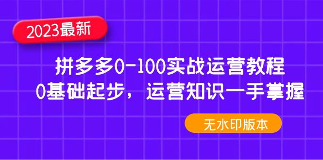 （4835期）2023拼多多0-100实战运营教程，0基础起步，运营知识一手掌握（无水印）-韬哥副业项目资源网