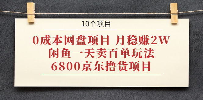 （1928期）0成本网盘项目 月稳赚2W+闲鱼一天卖百单玩法+6800京东撸货项目 (10个项目)-韬哥副业项目资源网