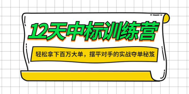 图片[1]-（4116期）12天中标训练营：轻松拿下百万大单，摆平对手的实战夺单秘笈！-韬哥副业项目资源网