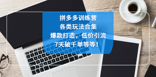 （4693期）拼多多训练营：各玩法合集，爆款打造，低价引流，7天破千单等等！-韬哥副业项目资源网