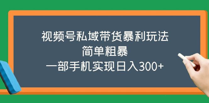 （5544期）视频号私域带货暴利玩法，简单粗暴，一部手机实现日入300+-韬哥副业项目资源网