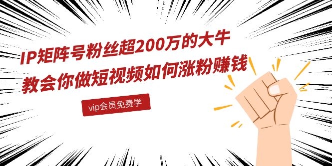 （1089期）IP矩阵号粉丝超200万的大牛：教会你做短视频如何涨粉赚钱（全套课程）-韬哥副业项目资源网