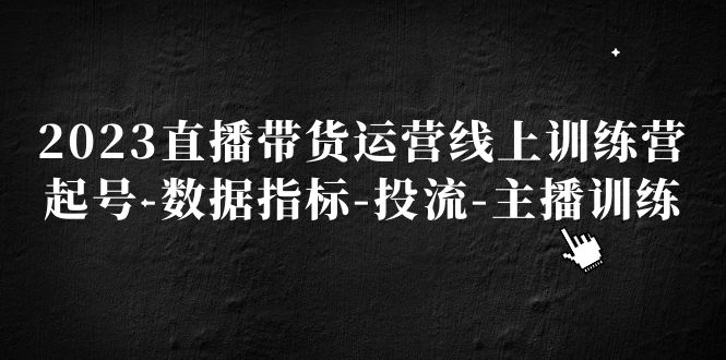 （5122期）2023直播带货运营线上训练营，起号-数据指标-投流-主播训练-韬哥副业项目资源网