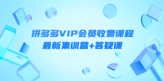 （4127期）某社群·拼多多VIP会员收费课程，最新集训营+答疑课-价值3299元-韬哥副业项目资源网